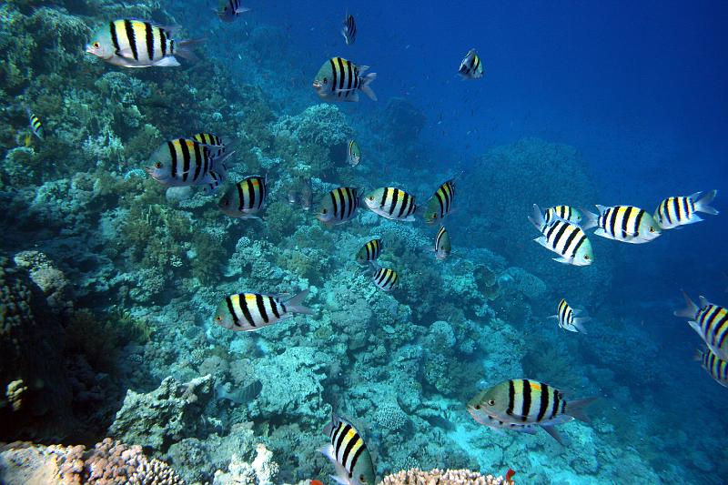 07 EG-02 207.JPG